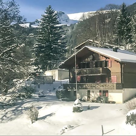 Bussalp Apartment - Aare Jungfrau Ag Grindelwald Bagian luar foto