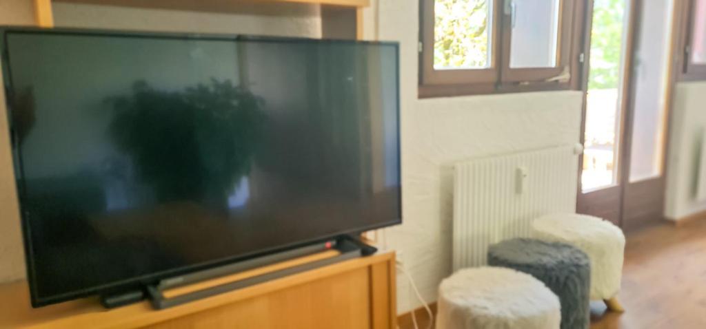 Bussalp Apartment - Aare Jungfrau Ag Grindelwald Bagian luar foto