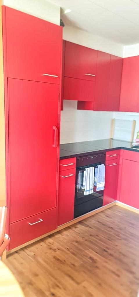 Bussalp Apartment - Aare Jungfrau Ag Grindelwald Bagian luar foto